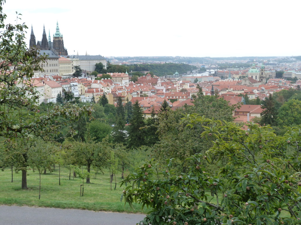 The view from Strahov Monastery looking back towards Prague Castle.